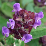 Selfheal